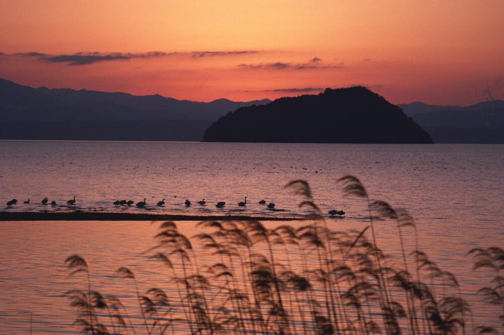 琵琶湖・竹生島の夕景